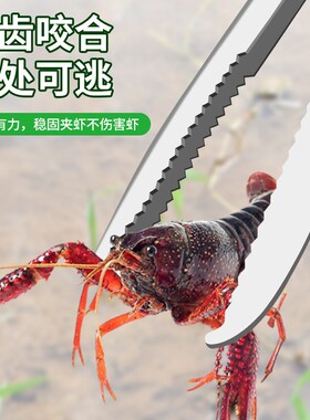 保联专业赶海装备黄鳝夹黄鳝神器泥鳅螃蟹抓鱼钳工具不锈钢垃圾夹
