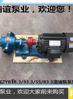 高温渣油泵ZYB18.3/33.3/55/83.3齿轮泵自吸泵齿轮油泵豆渣泵整机