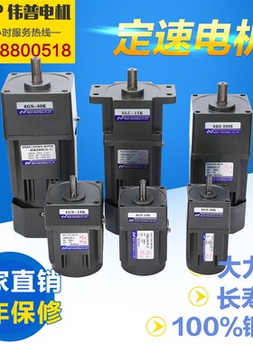 伟普厂家直销6-400w微型交流定速电机220v380v定速三相齿轮马达