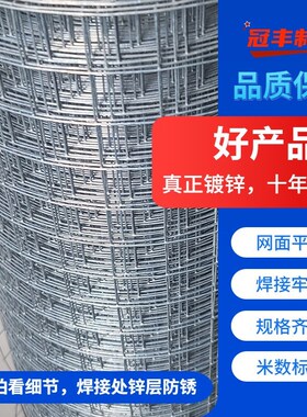 网钢丝小号铁丝网片小格养鸡网加密鸟笼子细孔仓鼠笼兔子菜地