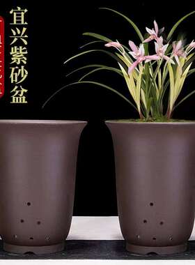 兰花盆兰花专用盆多肉花盆紫砂花盆绿萝花盆君子兰盆室内养花熊