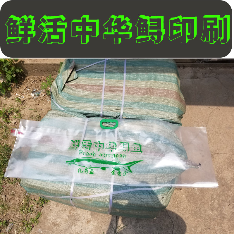 充氧气活鱼打包袋礼品袋水族鲤鱼鲟鱼运输包装袋氧气袋活鱼手提袋,淘宝优惠券,粉丝福利购,淘宝优惠卷