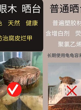 乌龟缸晒背台爬坡房子小别墅龙眼木养龟缸水陆两用高水位造景爬台