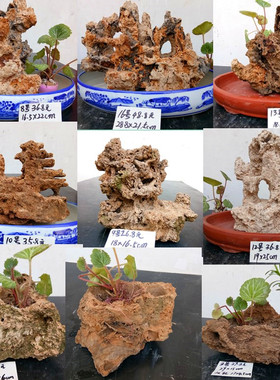 吸水石上水石毛石毛料原石奇石假山盆景造景石微景观石头摆件配石