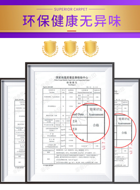 客厅ins风地毯卧室全铺整铺家用 办公室商用成品无纺地毯耐脏轻奢