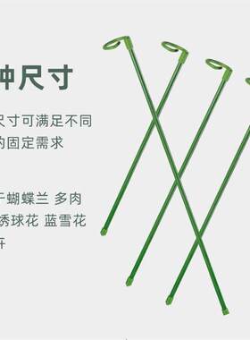 植物花架支撑杆朱顶红龟背竹园艺绿植花支架防倒插花绿萝固定神器