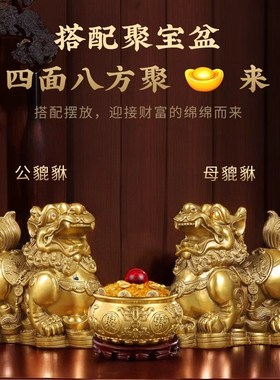 铜貔貅摆件一对公母纯黄铜貔恘全黄铜皮丘家用客厅店铺貔犰办公室