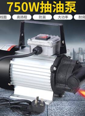 电动抽油泵柴油12v24v220v自吸泵液压油抽油机机油泵齿轮泵