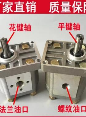 CBN-E300型齿轮泵液压泵CBN-F型齿轮泵电机组高品质柴油机油泵