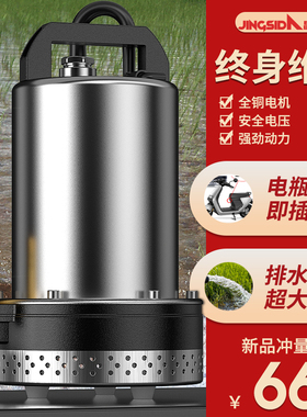 直流潜水泵家用小型12v24v48v60v72v电瓶电动车农用灌溉抽水机