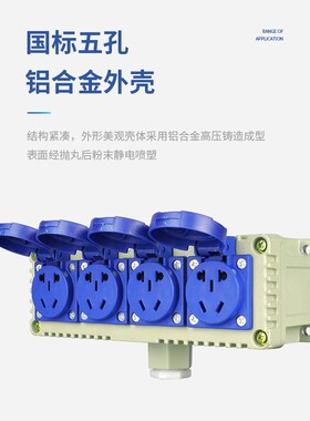 防爆插座五孔十孔220V 10A明装暗装开关多孔防水防尘插座380V 16A