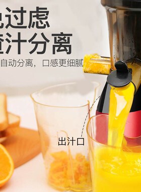 奥卡恩榨汁渣汁分离全自动原汁柞汁小型果汁