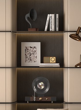 轻奢客厅电视柜壁柜高级感摆件高档会所复古壁柜小众艺术软装摆设