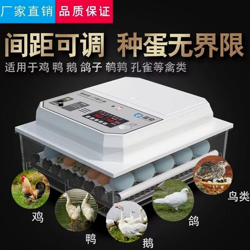 德国进口日本《厂家直销》小型孵化机全自动家用型孵化器鸡蛋孵化,淘宝优惠券,粉丝福利购,淘宝优惠卷