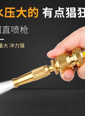 进口材质浇花喷头水枪套装园林浇菜水管喷水洒水淋喷雾器花洒洗车