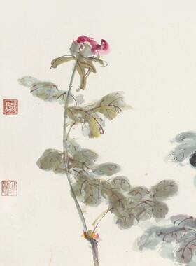 国挂画鸟画装饰画高清非花手绘现代客画厅DPA张大装千俏色牡丹图