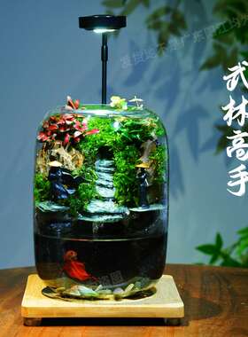 创意微景观办公室桌面绿植盆栽耐养免打理生态瓶可养鱼流水造景