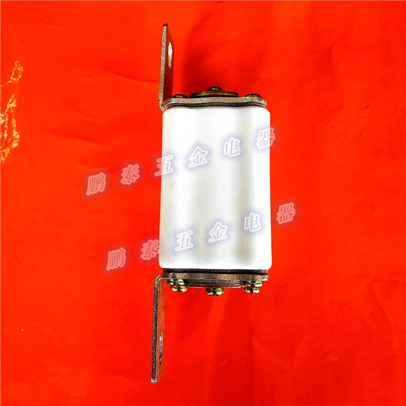 RS0-100A500V方形有填料快速熔断器芯子RSO-100A熔断体陶瓷保险管 - 图0