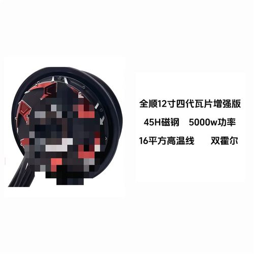 全顺电机12寸10寸四代五代纪念款电机小牛九号电摩大功率电机升级 - 图2