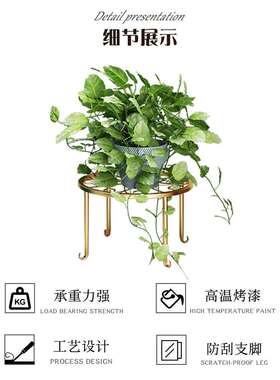 底盘植物客厅白色圆形花盆底托花托圆盘底座拖盘花架桌上盆底花盘
