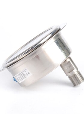 轴向带边不锈钢耐震压力表 原装出口 YN100BF-ZT 1000bar NPT1/2