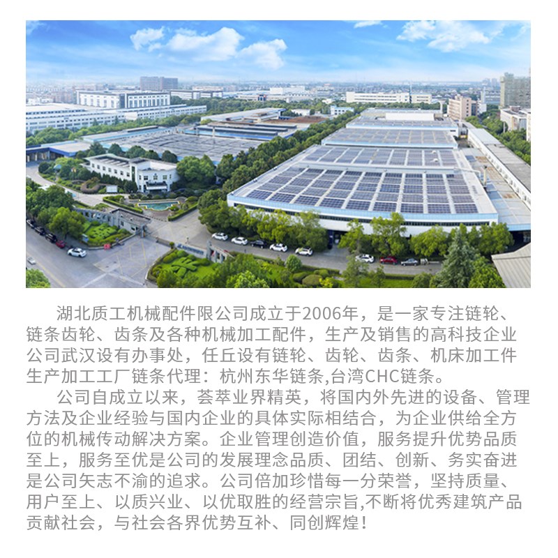 45钢1.6寸/28A双排链轮10-25齿厂家直销加工内孔键槽顶丝非标定制 - 图0