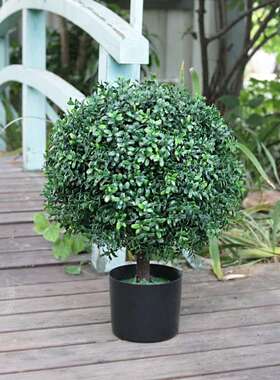 仿真植物薰衣草盆景室内家居摆件黄杨木盆栽仿真球树