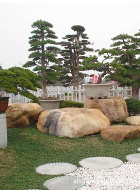 灵璧景观石巨型河卵石 天然河冲石公园河滩驳岸石 园林刻字草坪石