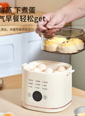 【顺丰空运】顶配AI不锈钢蒸蛋器