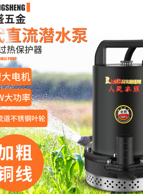 上海人民12V24V48V60V直流潜水泵抽水泵家用农用刷车电动车高扬程