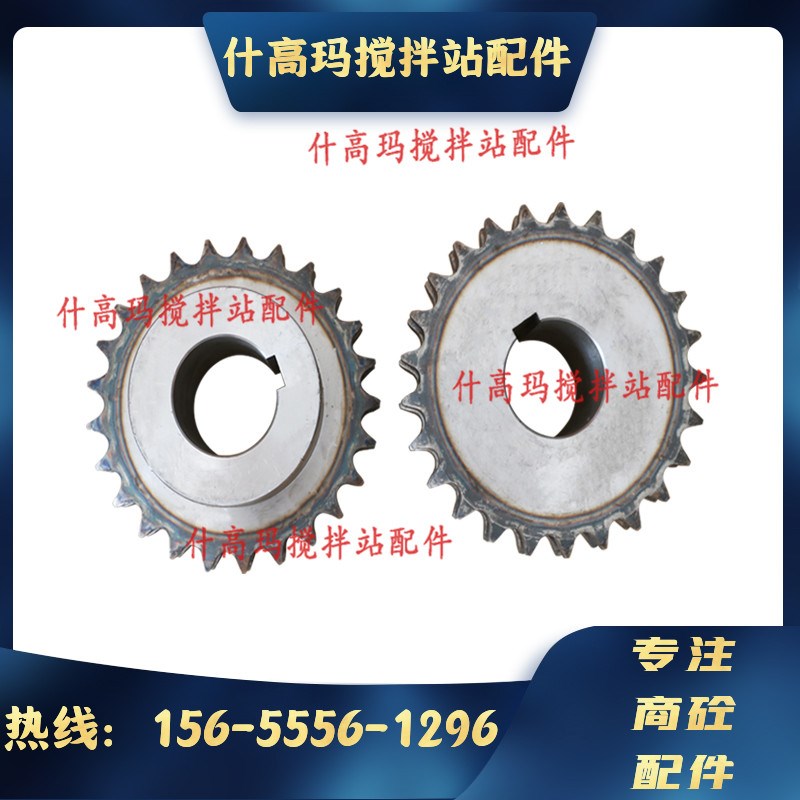 中联平皮带链轮/双排链轮链条/搅拌站25齿27齿三一平皮带双排链轮 - 图3