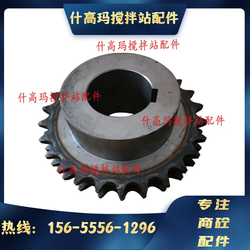 中联平皮带链轮/双排链轮链条/搅拌站25齿27齿三一平皮带双排链轮 - 图2