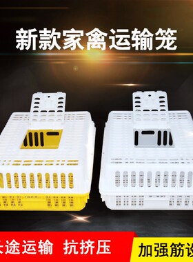 塑料鸡笼鸭笼家禽运输笼禽畜周转笼塑料鸡笼子禽畜饲养运输笼加厚