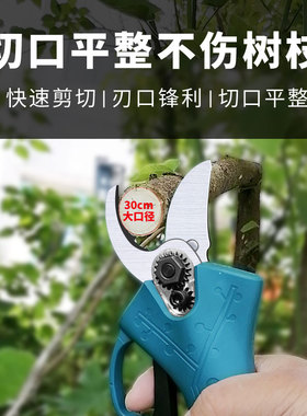 德国电动剪刀剪树枝果树进口充电式修枝剪子专用锂电园林修剪神器