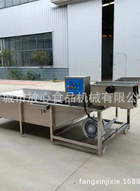 气泡式蔬菜清洗机价格 不锈钢果蔬清洗机厂家 可