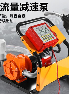 加油机12V24V220V伏车载大流量柴油抽油泵计量计价小型总成全自动