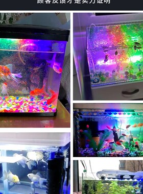 鱼缸照明灯led防水全白光水草灯潜水龙鱼灯水族箱三基色增艳灯