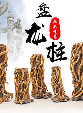 盘龙柱树桩造景骨架成品水族鱼缸草缸莫斯树森林天然沉木杜鹃根木