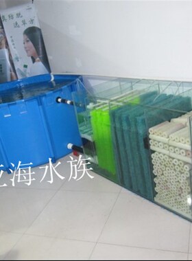 锦鲤可折叠鱼池鱼缸水池暂养池比赛养鱼缸生态龟缸鱼苗龟箱