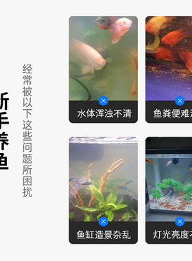 超白玻璃鱼缸客厅小型水族箱金鱼缸生态免换水草缸桌面造景养鱼缸