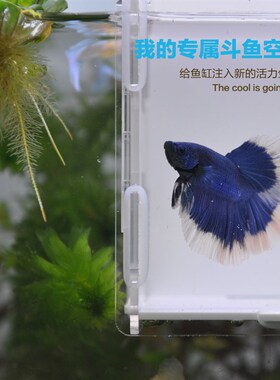鱼缸隔离盒斗鱼隔离观赏透明分隔盒成年孔雀鱼亚克力隔离繁殖盒