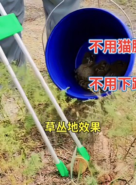 捡栗子神器拣板栗神器捡板栗夹子捡栗子神器摘果神器工具捡拾器实