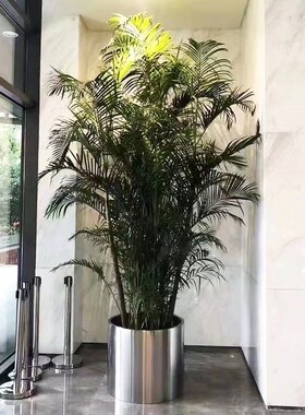 不锈钢花a盆大花盆圆柱形花器金属花箱简约花钵种植器皿家用种植