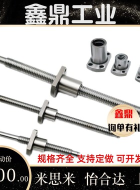 滚珠丝杆BSST BSSR BSSZ (K)1204 2005 2010 2505 2510 3205 3210