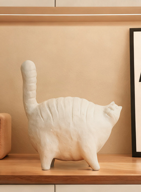 【一眼沦陷】的治愈感猫咪