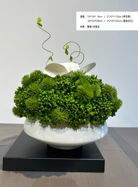 新中式样板房花艺  酒店餐厅民宿客厅茶几绿Q植石竹苔藓软装饰品