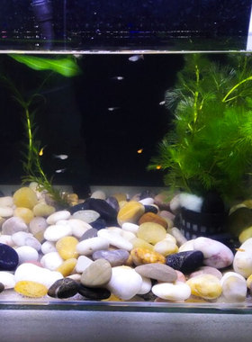 鹅卵石雨花石原石天然小石子鱼缸花盆鹅软石装饰盆栽园艺五彩石头