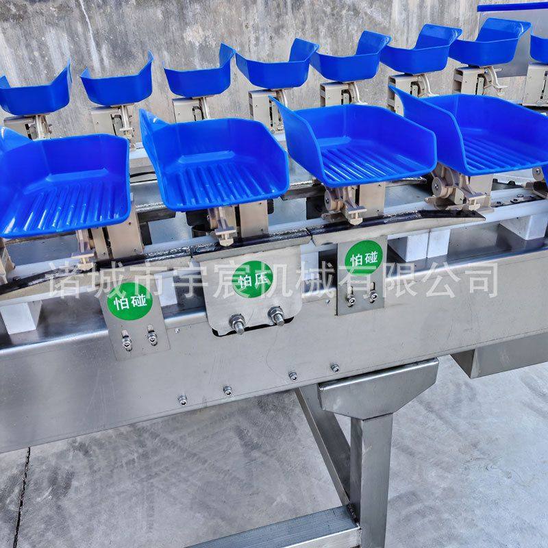 高精度海参料盒式分选机鸡鸭鹅重量分级设备鸡爪生鲜重量分选机,淘宝优惠券,粉丝福利购,淘宝优惠卷