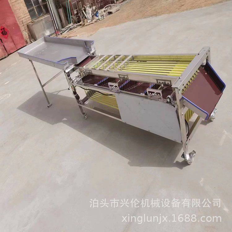 小青柑选果机 姑娘果牛油果分果机 农用水果分级机 软包装不伤果,淘宝优惠券,粉丝福利购,淘宝优惠卷