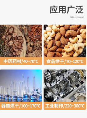 电热鼓风干燥箱可观察器皿双门恒温烘干箱实验室工业高温烘烤箱